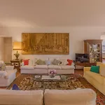 Armonia * كابانّوري